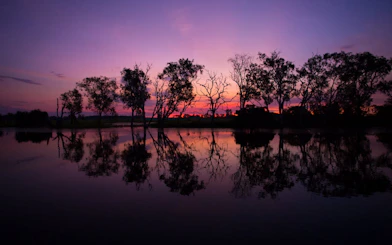 From Darwin: 3 Day Kakadu + Litchfield 4WD Adventure Camping Tour