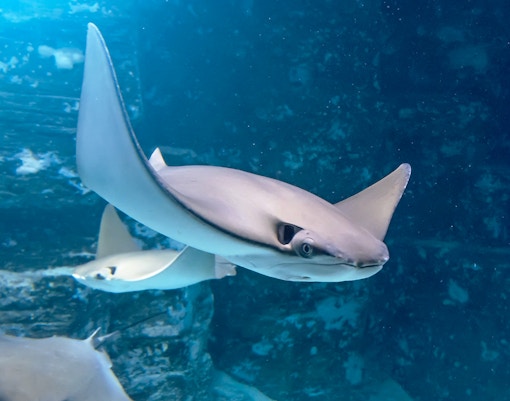 Wroclaw Zoo highlights