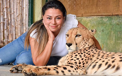 Woman lying next to a resting cheetah at Tiger Kingdom experience.