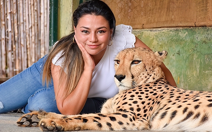 Woman lying next to a resting cheetah at Tiger Kingdom experience.