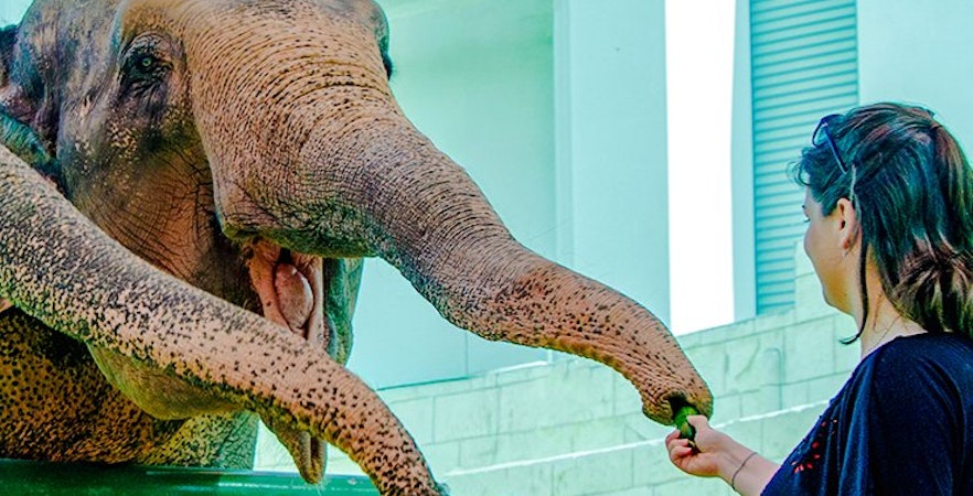 Emirates Park Zoo Tickets