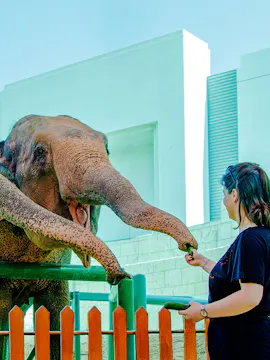 Emirates Park Zoo Abu Dhabi Tickets