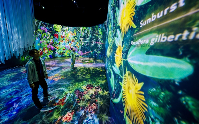Tourists in the Cloud Forest Hidden Gallery at Gardens by the Bay, Singapore, surrounded by digital floral displays.