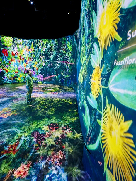 Tourists in the Cloud Forest Hidden Gallery at Gardens by the Bay, Singapore, surrounded by digital floral displays.
