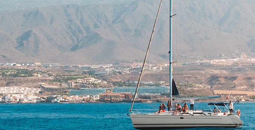 Walbeobachtung Teneriffa