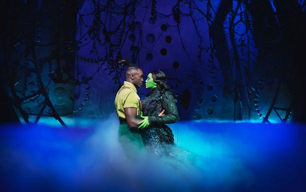 Actors performing a scene from the musical Wicked on stage.