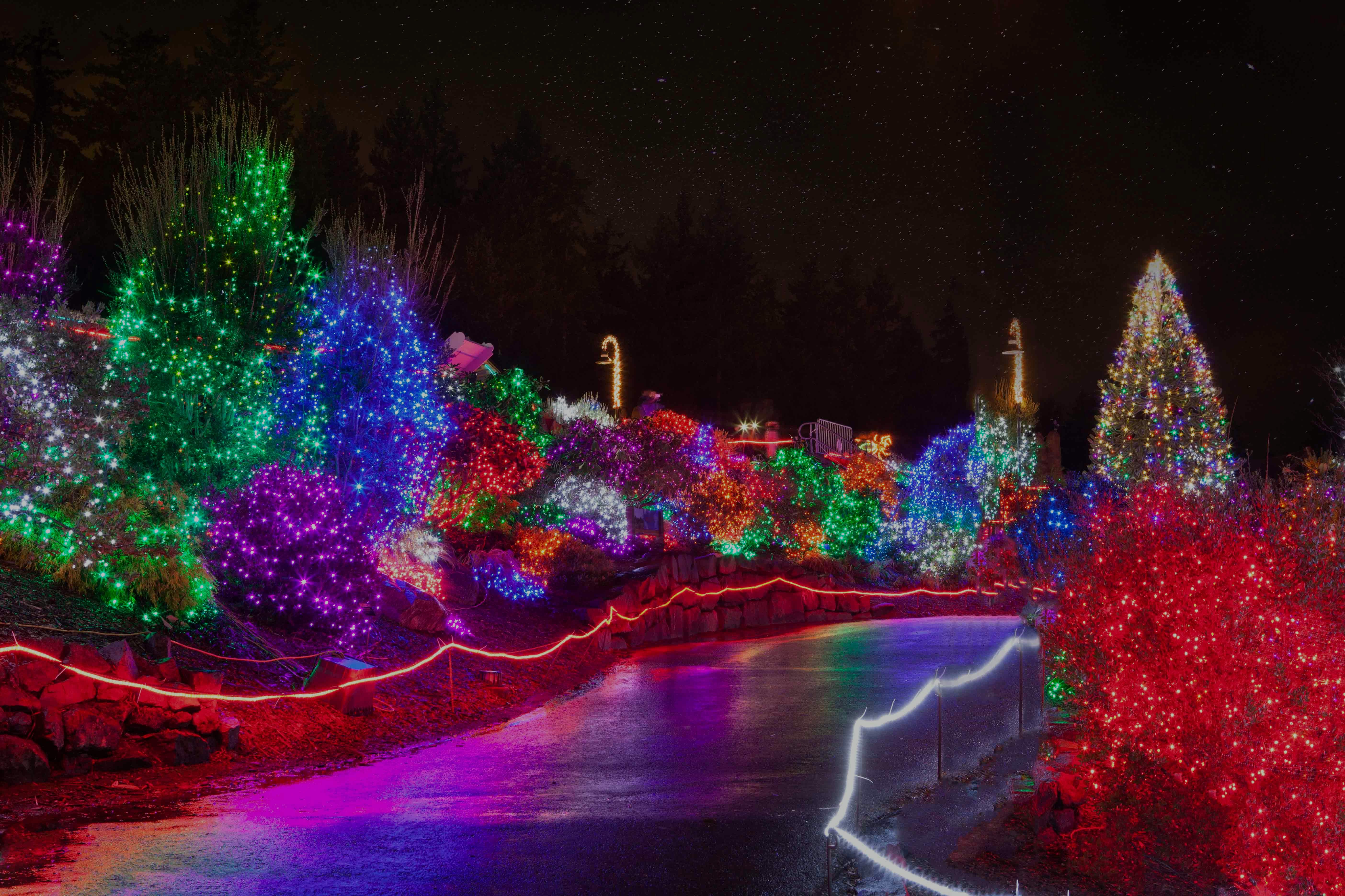 Niagara Falls Winter Festival of Lights