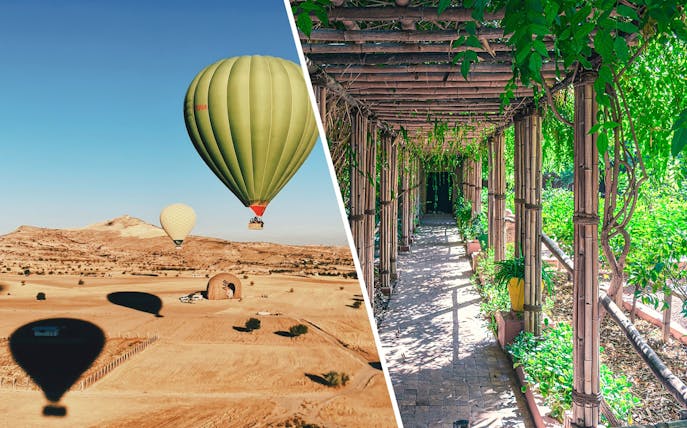 Jardin Majorelle bamboo pergola with lush greenery.