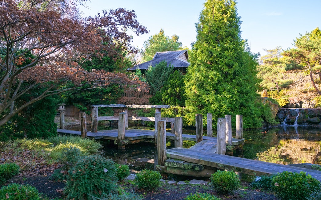 Wooden bridge over pond in Hobart Botanical Garden, surrounded by lush greenery.
