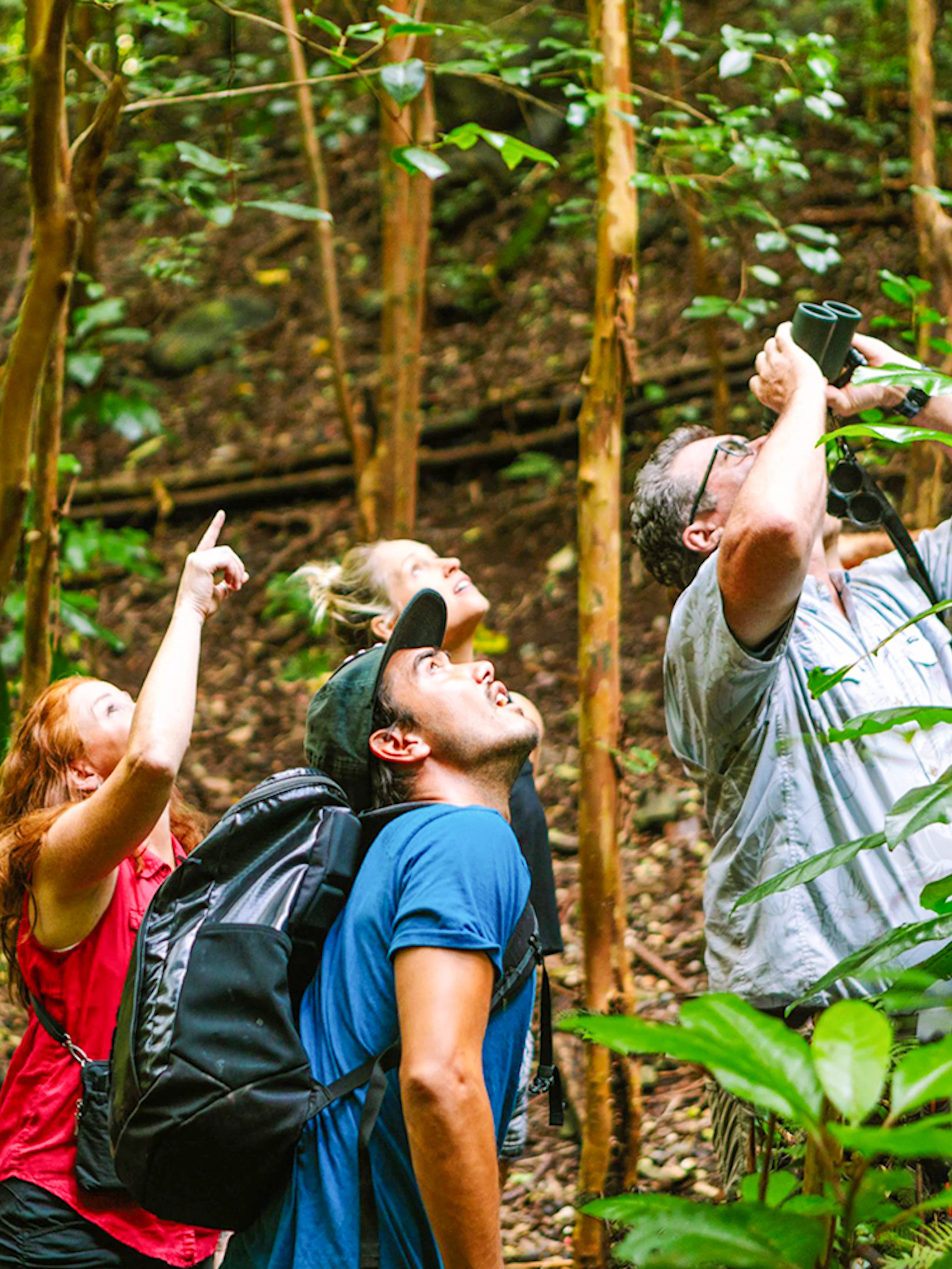 Guests birdwatching with binoculars in Hakalau Forest, Hawaii.