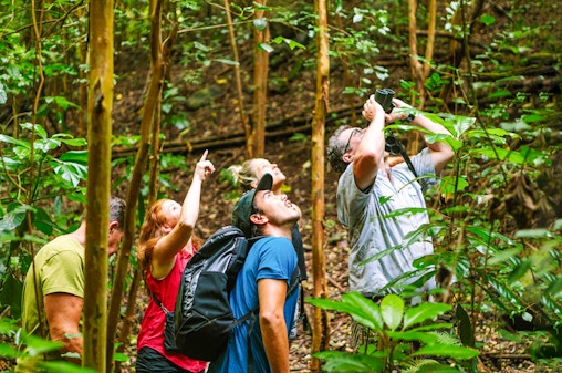 Big Island: tour para ver aves por el bosque de Hakalau