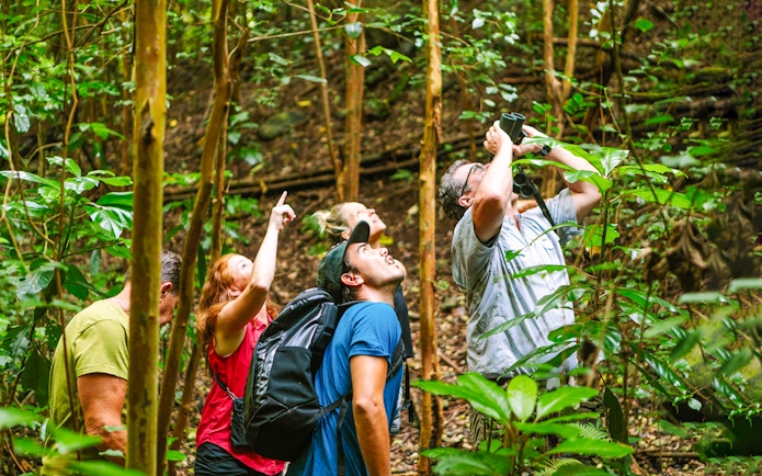 Guests birdwatching with binoculars in Hakalau Forest, Hawaii.