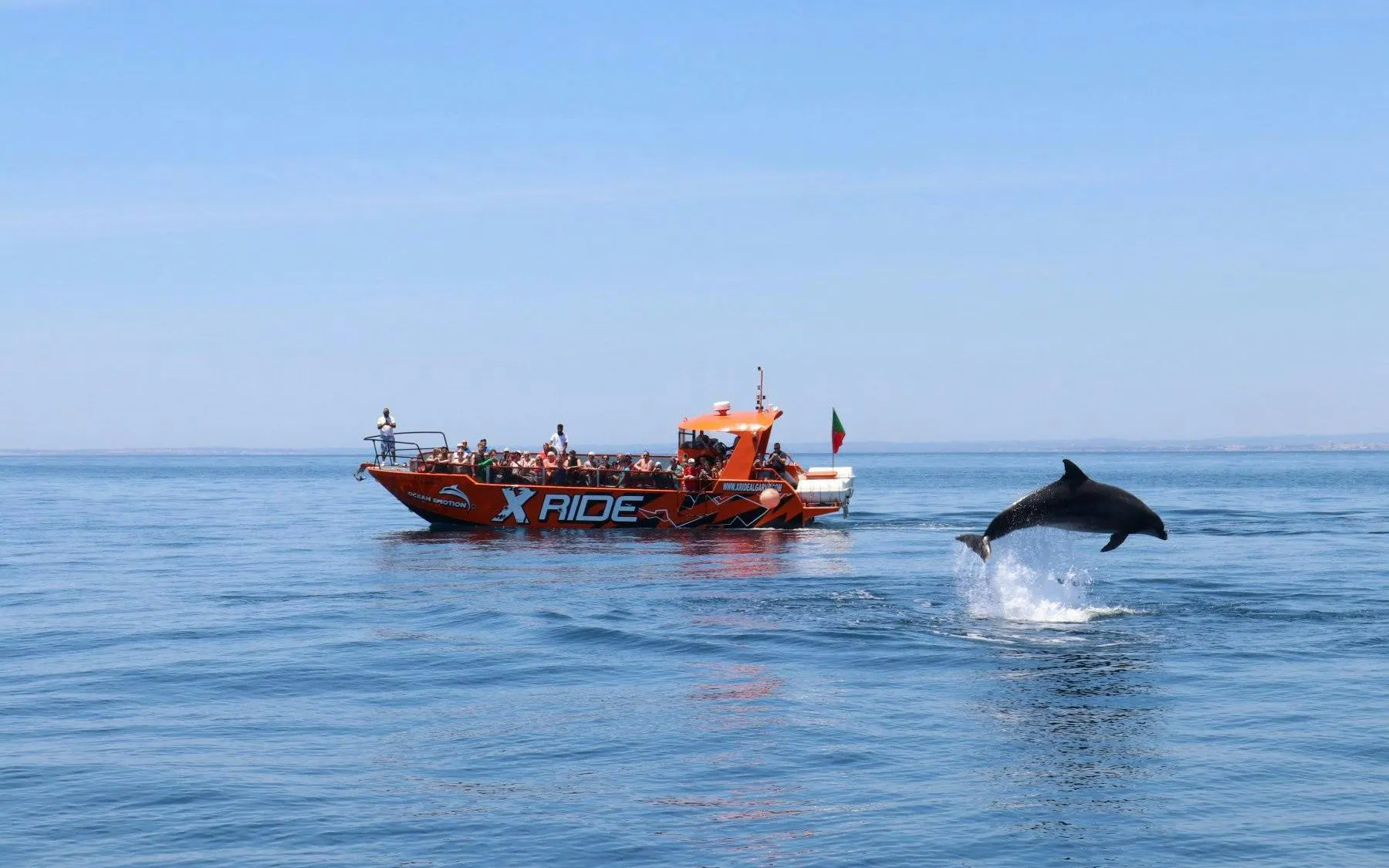 Tourists on a boat watching a dolphin jump near Benagil Caves, Algarve.