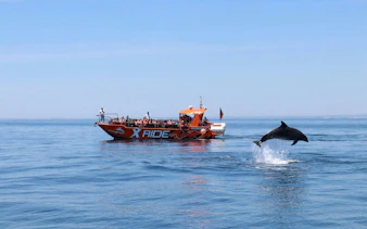 Tourists on a boat watching a dolphin jump near Benagil Caves, Algarve.