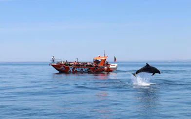 Tourists on a boat watching a dolphin jump near Benagil Caves, Algarve.