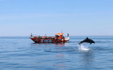 Tourists on a boat watching a dolphin jump near Benagil Caves, Algarve.