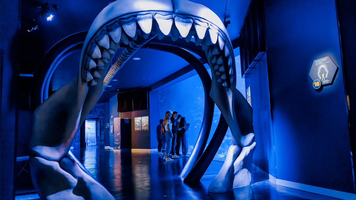 Visitors exploring marine life exhibits at Atlantis Aquarium, Madrid.