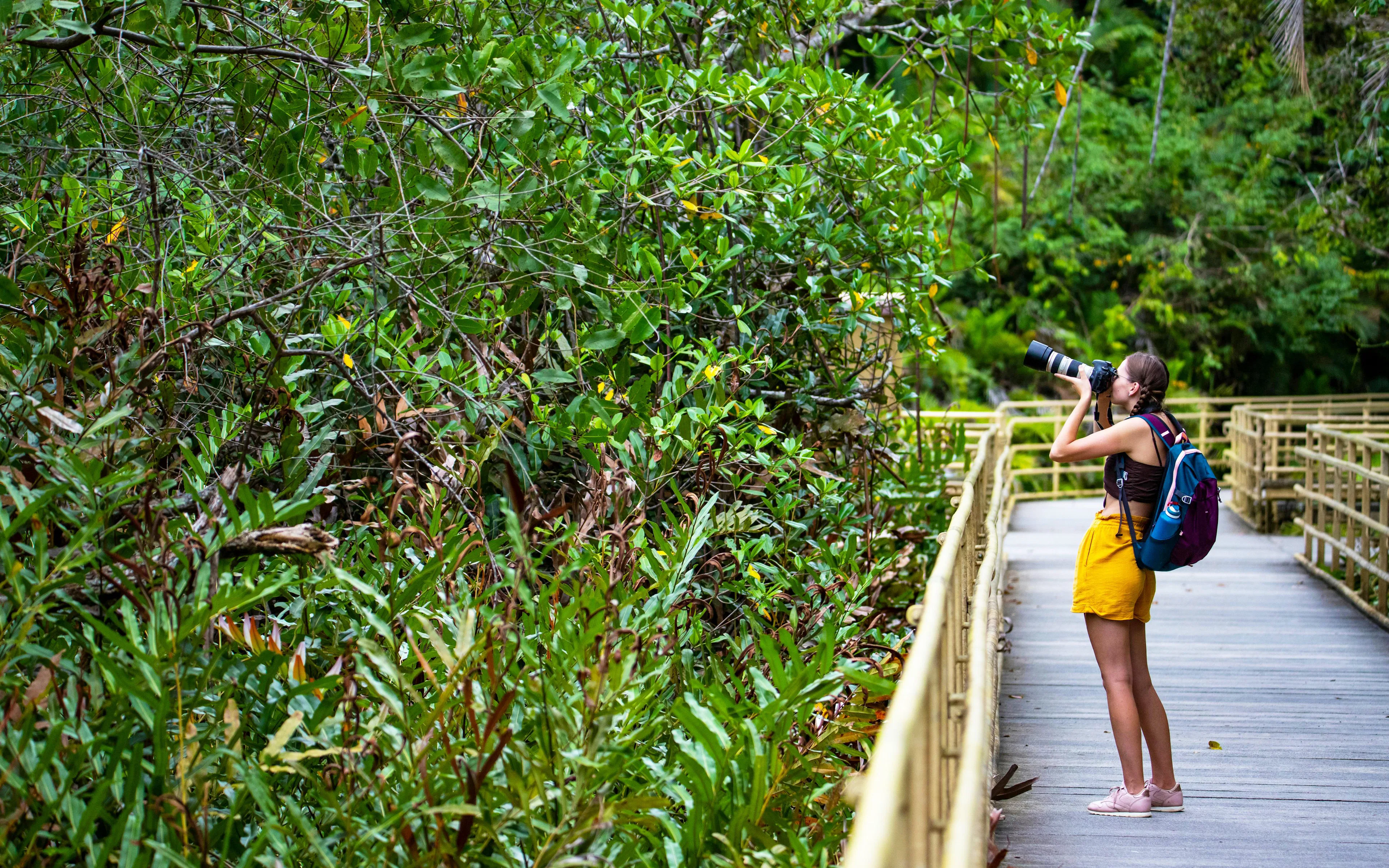 Person photographing wildlife on a forest trail in Manuel Antonio National Park.
