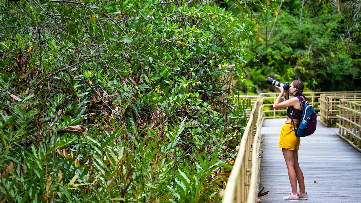 Person photographing wildlife on a forest trail in Manuel Antonio National Park.