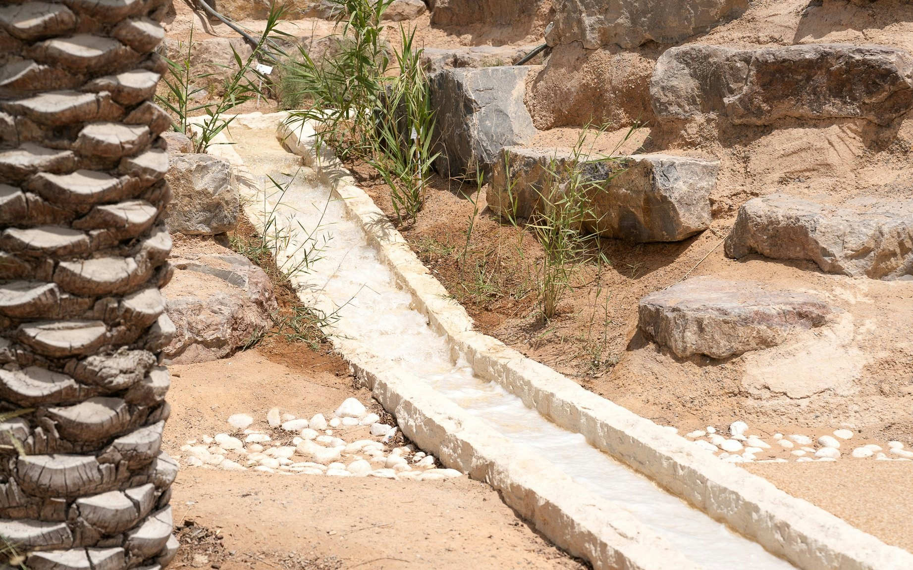 Stone water channel with surrounding rocks and plants at Al Masar Zayed National Museum.