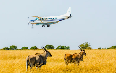 Small plane flying over antelopes in Maasai Mara grasslands.