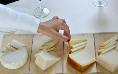 Cheese tasting at Cagliari cheese factory with various cheeses on wooden boards.