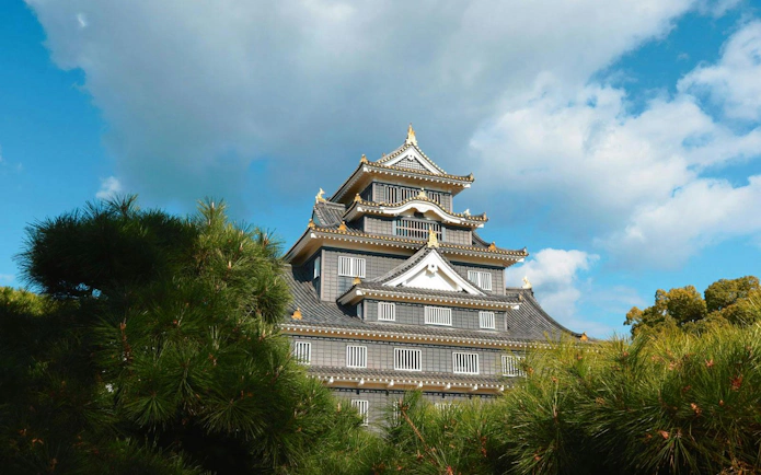 Okayama Castle with pine trees and cloudy sky.