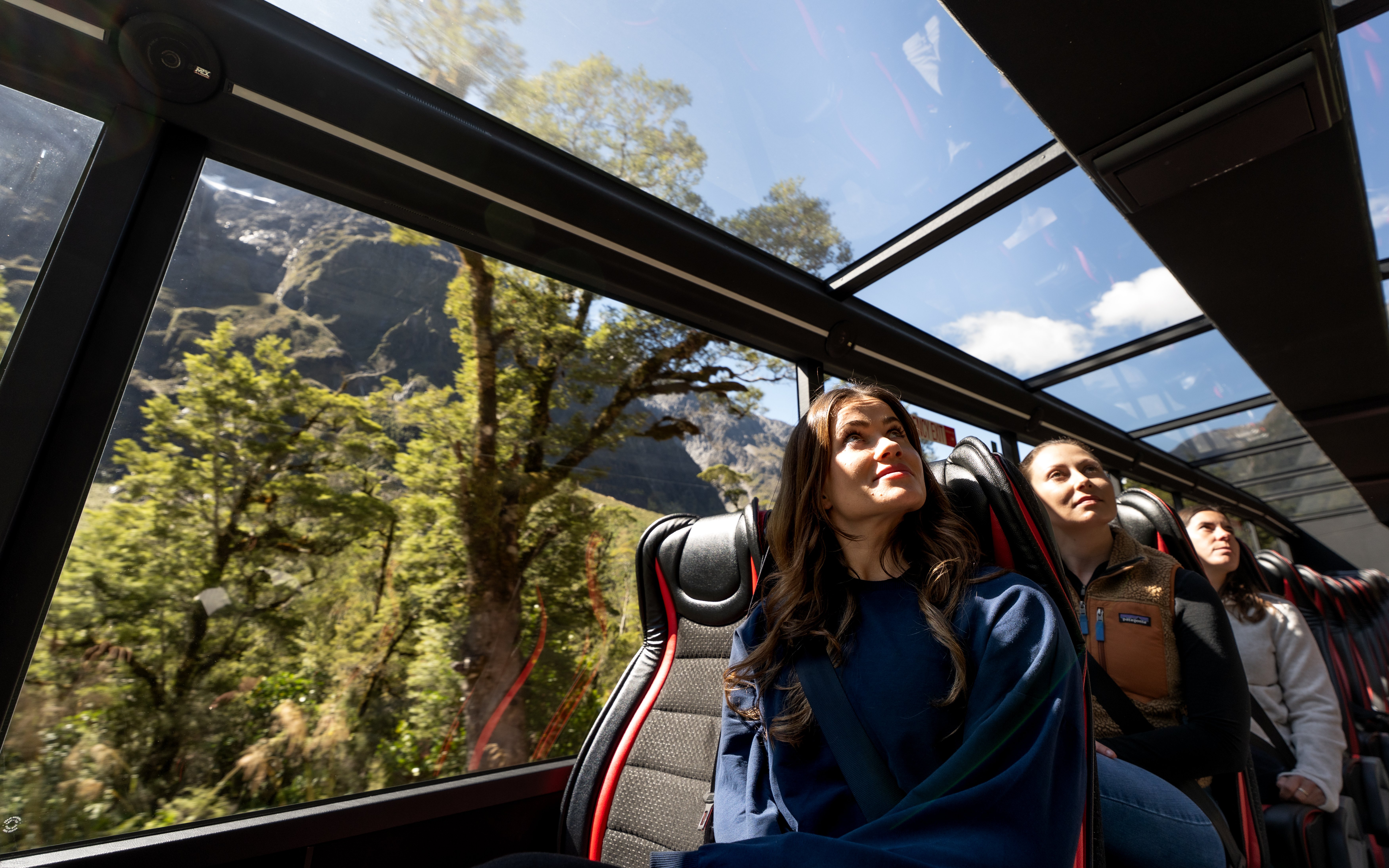 Passengers enjoying scenic views through glass roof on Milford Sound coach tour.