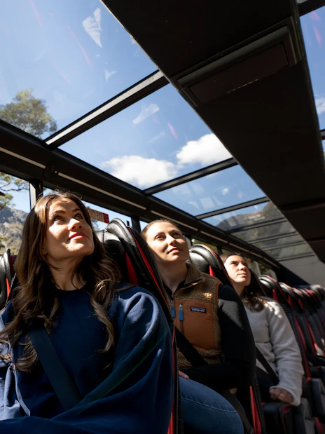 Passengers enjoying scenic views through glass roof on Milford Sound coach tour.