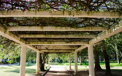 Rio de Janeiro Botanical Garden and Parque Lage Guided Tour with Professional Photos