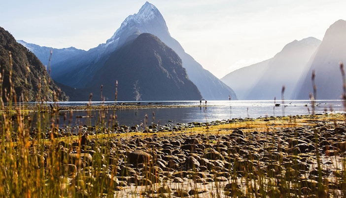 Milford Sound Nature Walk