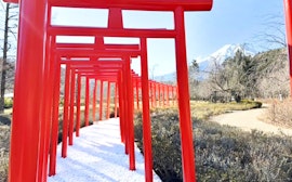 Oshino Shinobi no Sato