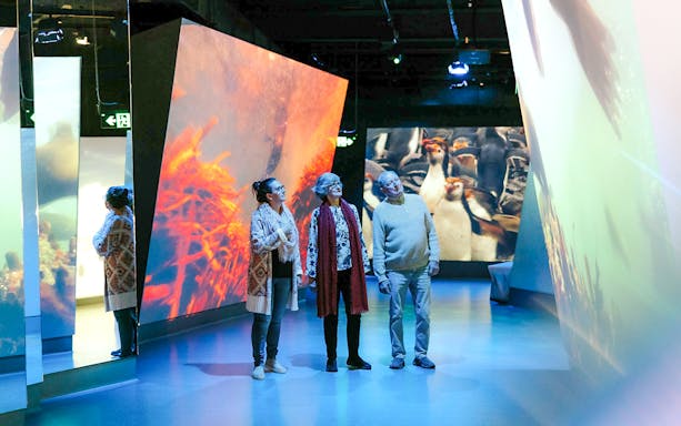 Visitors exploring Antarctic wildlife displays at The Nobbies Centre.