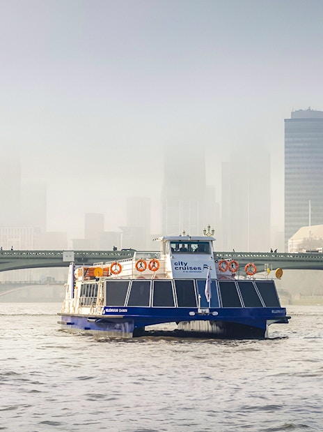 Thames river cruise boat with London skyline and bridge in the background.
