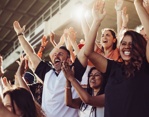football fans cheering in a stadium during a live match.