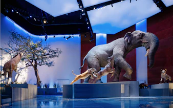 Abu Dhabi Natural History Museum exhibit with prehistoric mammals and landforms.