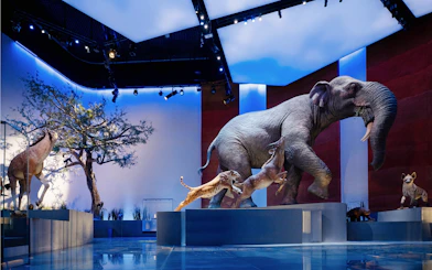 Abu Dhabi Natural History Museum exhibit with prehistoric mammals and landforms.