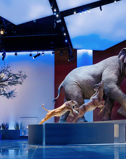 Abu Dhabi Natural History Museum exhibit with prehistoric mammals and landforms.