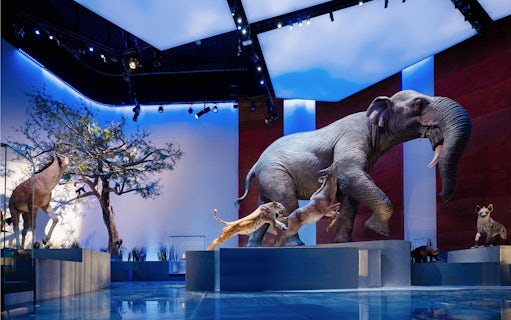 Abu Dhabi Natural History Museum exhibit with prehistoric mammals and landforms.