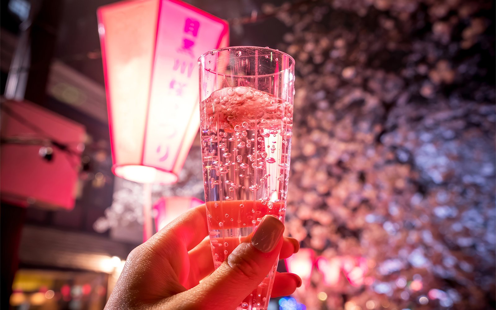 Hand holding a sparkling drink under cherry blossoms with lanterns in the background.