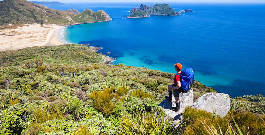 Hiker overlooking coastline and islands on Stewart Island, New Zealand.