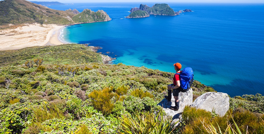 Hiker overlooking coastline and islands on Stewart Island, New Zealand.