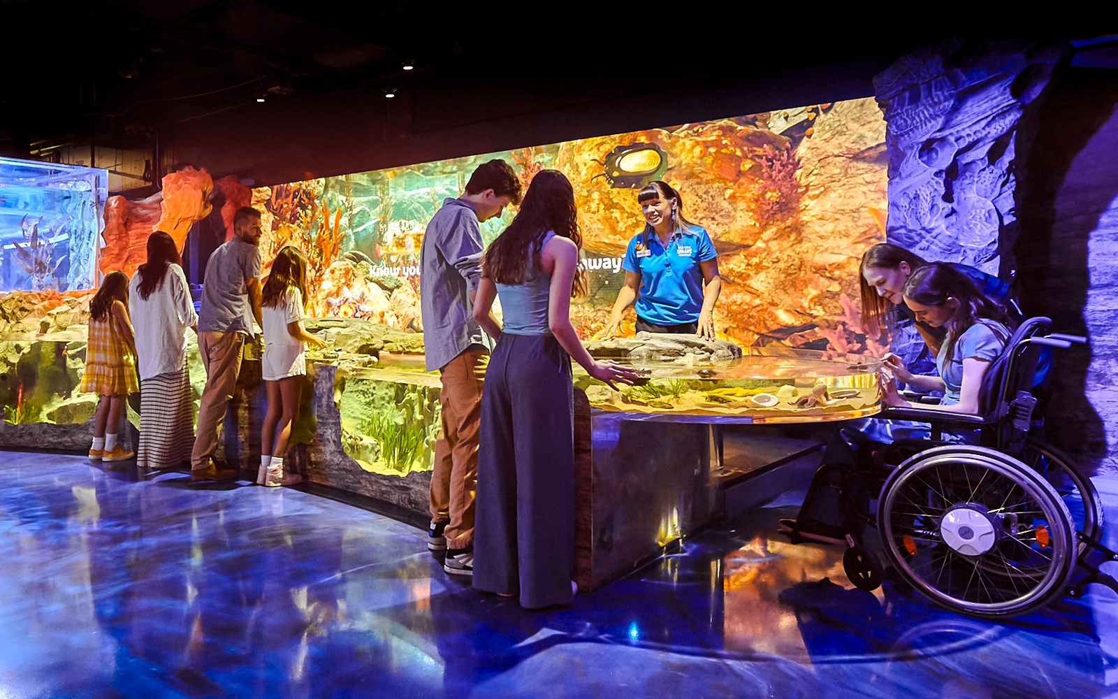 Visitors exploring interactive exhibits at Sea Life Melbourne.