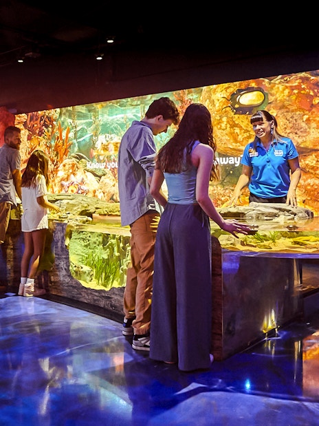 Visitors exploring interactive exhibits at Sea Life Melbourne.