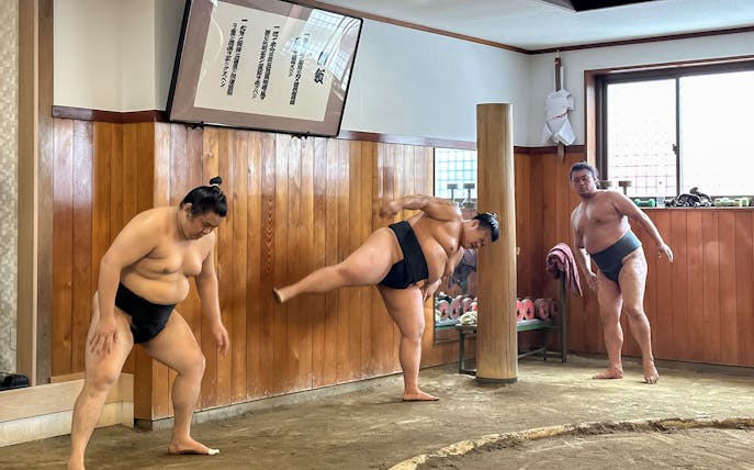 Sumo wrestlers practicing morning exercises in a traditional Japanese sumo stable.