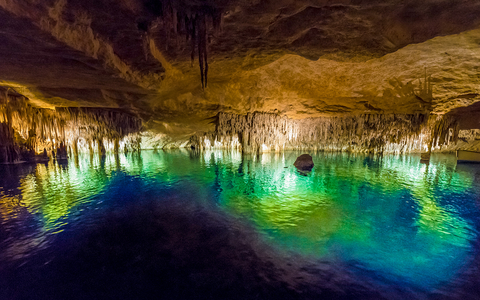 For an in-depth Experience