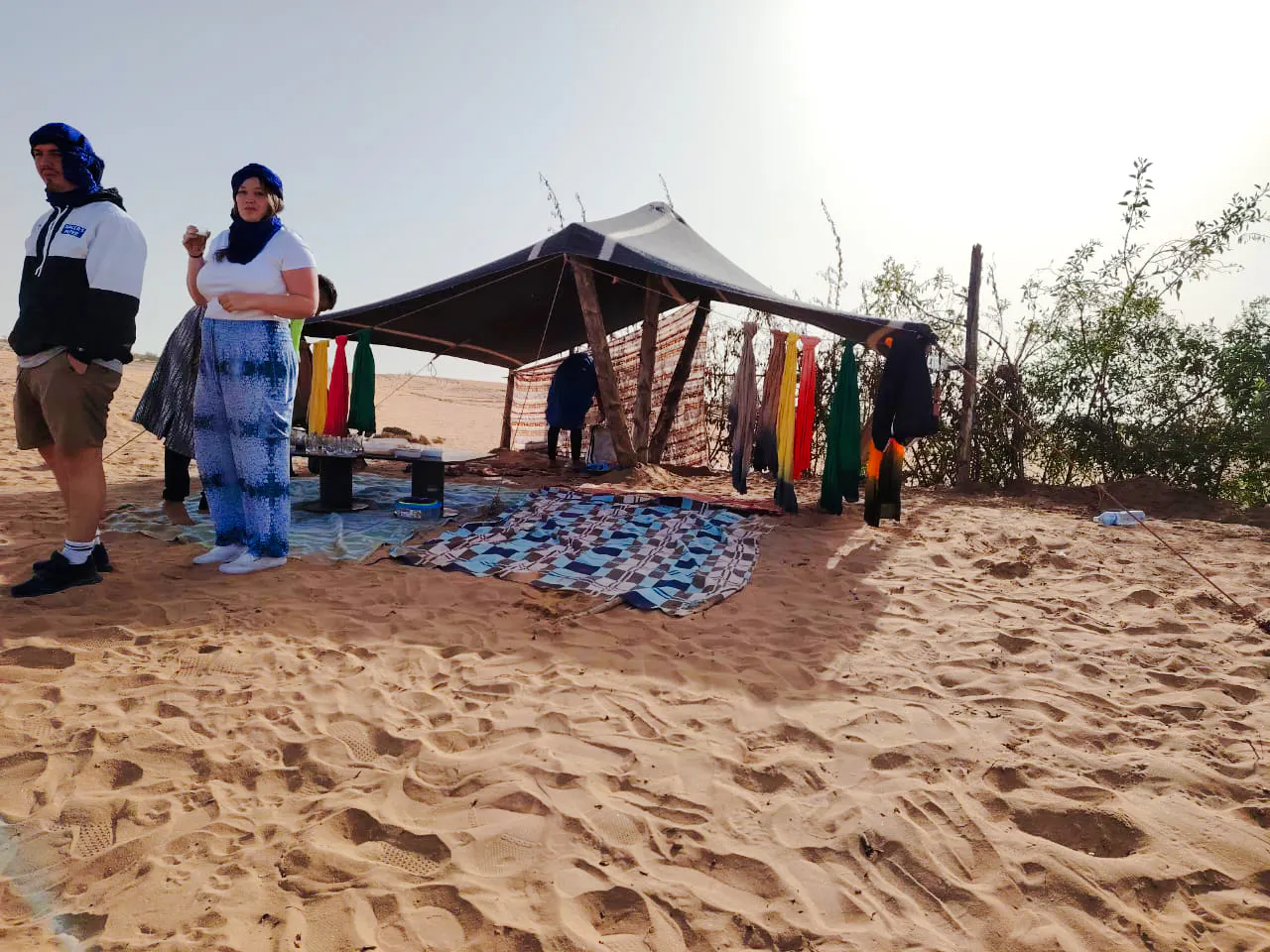 From Taghazout: 4x4 Mini-Sahara Dunes and Souss-Massa National Park Tour with Lunch Image 10