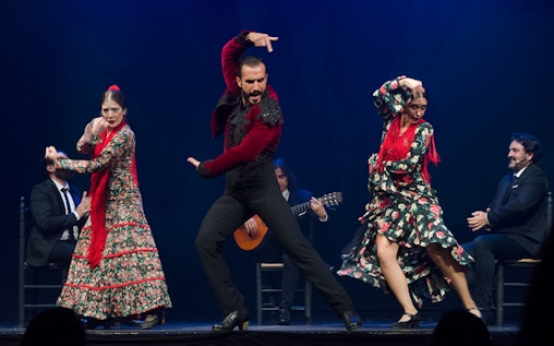 Teatro Flamenco Madrid:  spettacolo "Emotions"