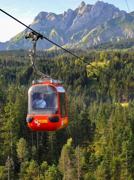 Cable car ascending Mount Pilatus with forest and mountain backdrop, Lucerne.