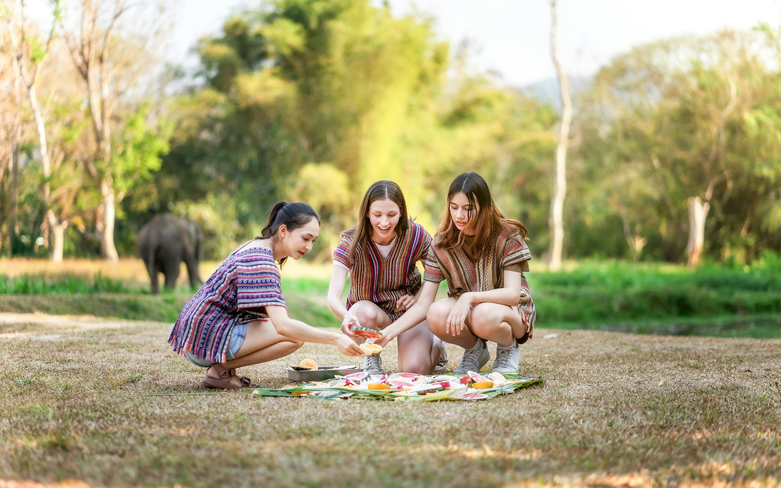 Elephants enjoying a farewell feast at Elephant Sanctuary, surrounded by lush greenery.